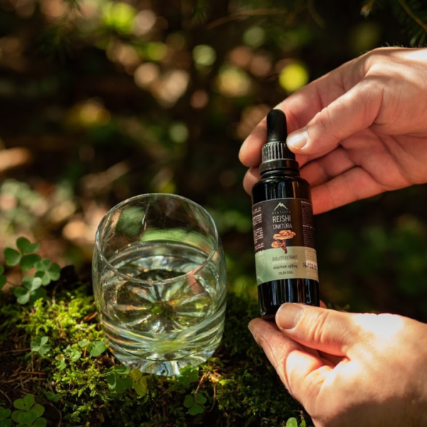 Reishi s najlepšou vstrebateľnosťou - BIO tinktúra Hrotlife 50ml - Image 2