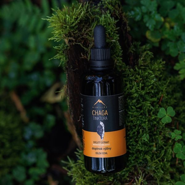 Chaga BIO tinktúra Hrotlife 100 ml - divoká Čaga - Image 5