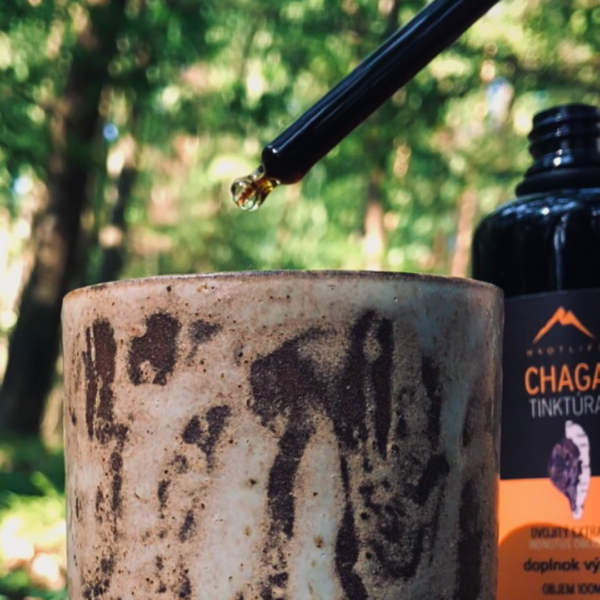Chaga BIO tinktúra Hrotlife 100 ml - divoká Čaga - Image 3