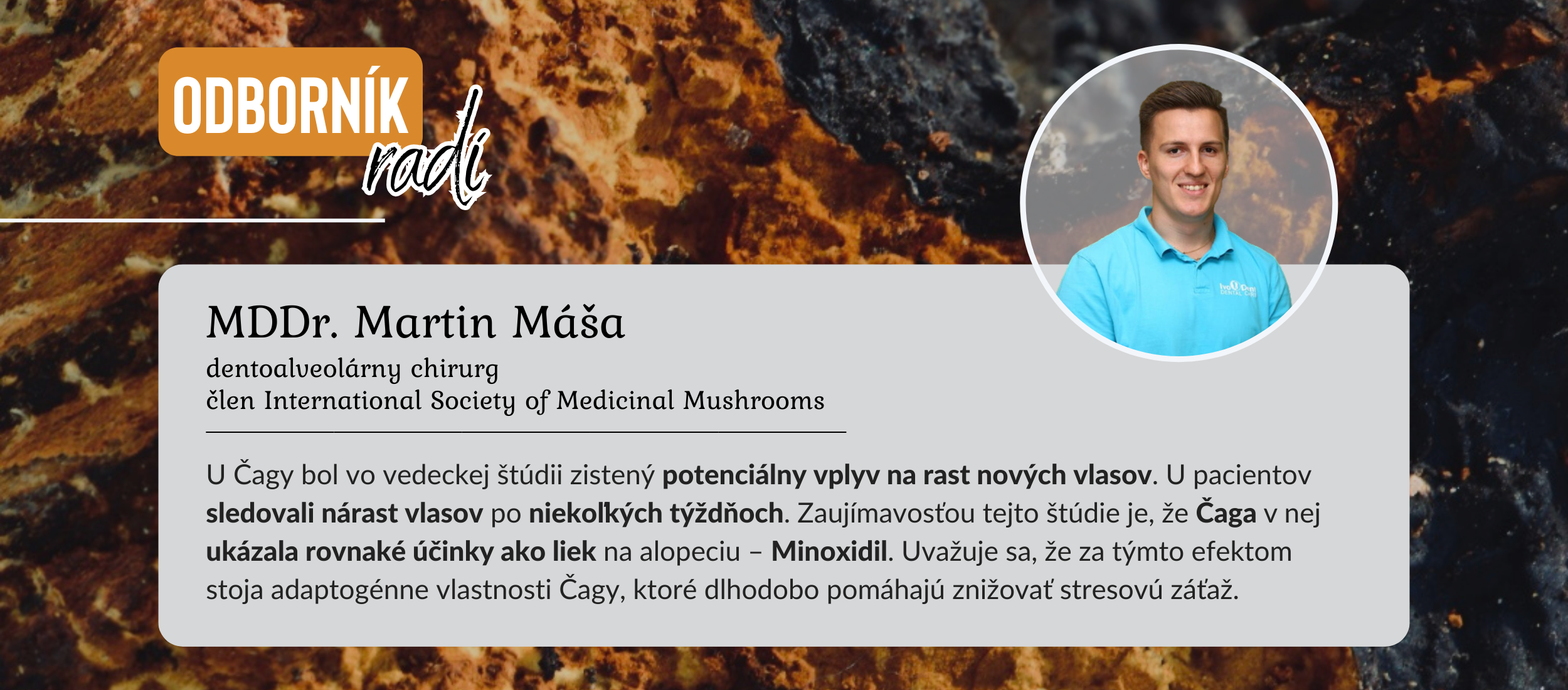 Chaga (Čaga) ucinky na vlasy